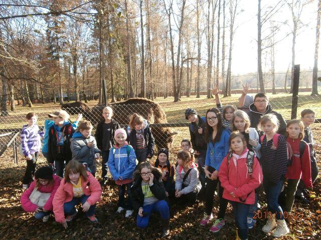 25.10.2013_WYCIECZKA DO BIAŁOWIEŻY58.JPG